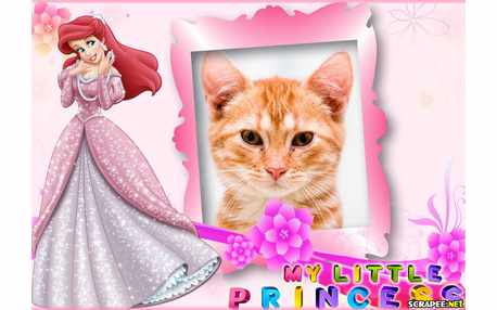 Moldura - My Little Princess