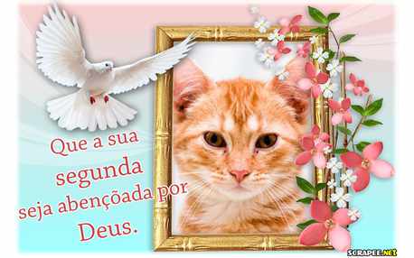 Moldura - Segunda Feira Abencoada