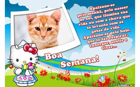 Moldura - Apaixone Se Pela Vida