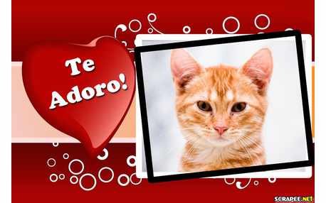 Moldura - Moldura Te Adoro