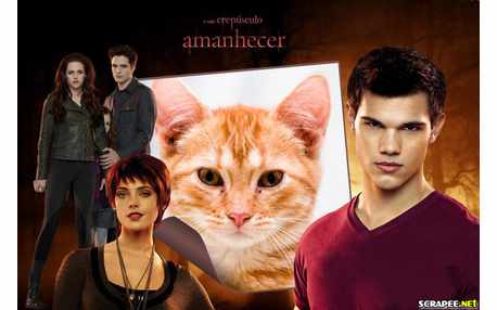 Moldura - Amanhecer Crepusculo Parte 2