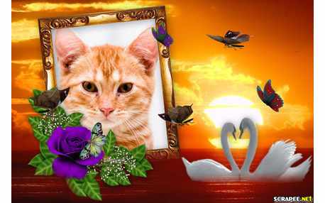 Moldura - Lindo Por Do Sol