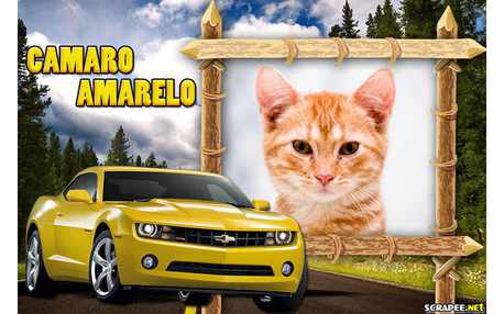 Moldura - Moldura De Camaro Amarelo