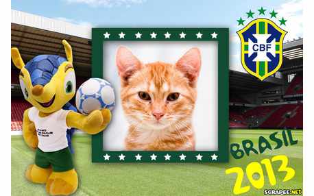 Moldura - Fuleco Mascote