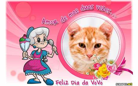 Moldura - Dia Da Vovo