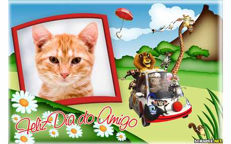 Moldura - Feliz Dia Do Amigo