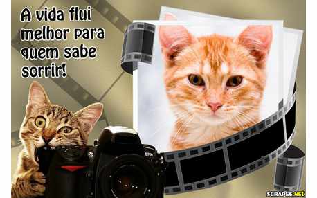 Moldura - Fluir Da Vida