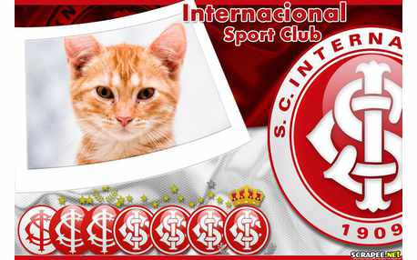 Moldura - Internacional Sport Club