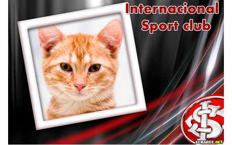 Moldura - Sport Club