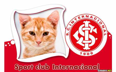 Moldura - Internacional