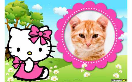 Moldura - Moldura Da Hello Kitty