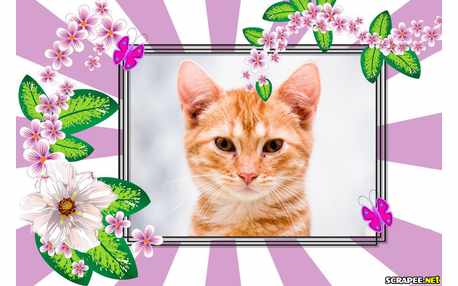 Moldura - Flor Lilas