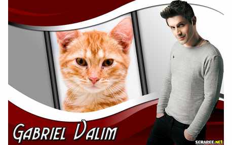 Moldura - Cantor Gabriel Valim