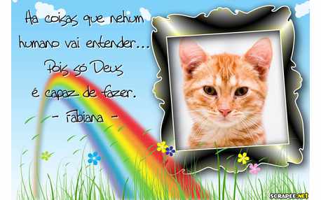 Moldura - Coisas Enesplicaveis