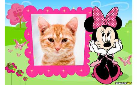 Moldura - Minnie Rosa