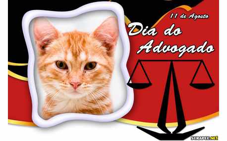Moldura - Dia Do Advogado