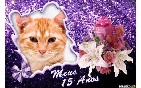 Moldura - Meus 15 Anos