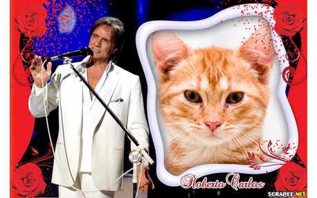 Moldura - Roberto Carlos