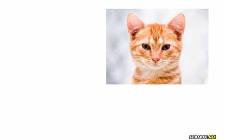 Moldura - Pai Parabens Pelo Seu Dia