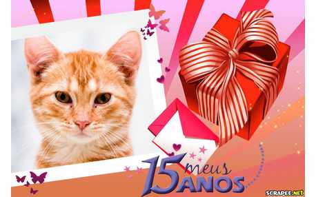 Moldura - Moldura De 15 Anos