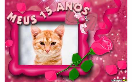 Moldura - Aniversario De 15 Anos