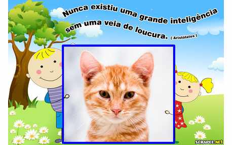 Moldura - Inteligencia