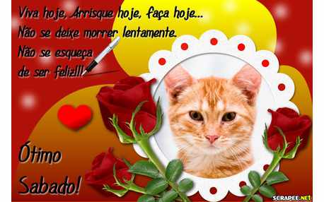 Moldura - Hoje E Dia De Viver