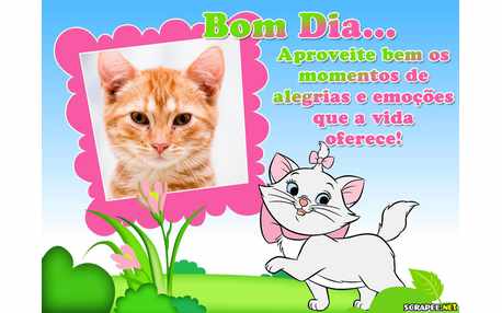 Moldura - Momentos De Emocoes