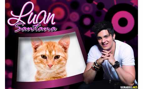 Moldura - Luan Santana Novo Visual