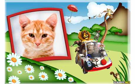 Moldura - Carro Do Alex Madagascar