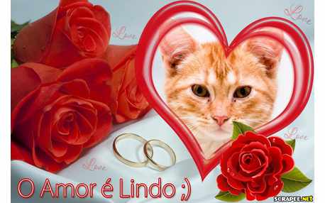 Moldura - Amor Mais Lindo Do Mundo