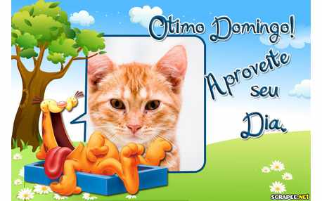 Moldura - Domingo Do Garfield