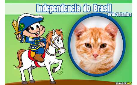 Moldura - Independecia Do Brasil