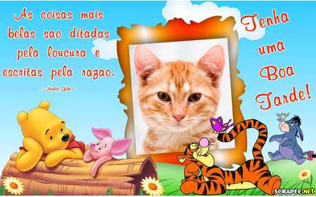 Moldura - Coisas Belas