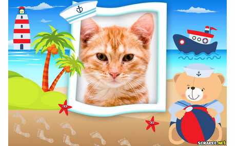 Moldura - Ursinho Marinheiro