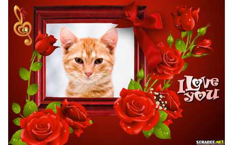 Moldura - Amor Alem Das Estrelas