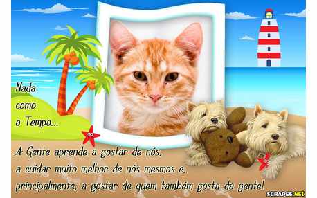 Moldura - Tempo E Aprendizado