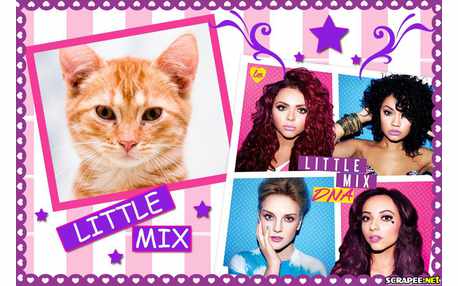 Moldura - Little Mix