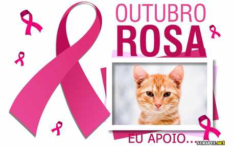 Moldura - Outubro Rosa