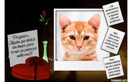 Moldura - Dia Dos Professores