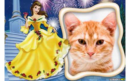 Moldura - Princesa Bela