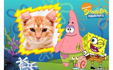 Moldura - Sponge Bob Squarepants