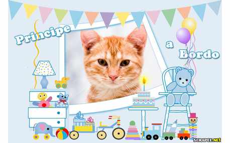 Moldura - Nascimento De Principe 