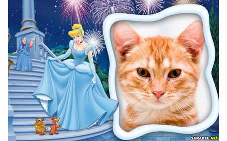 Moldura - Princesa Cinderela