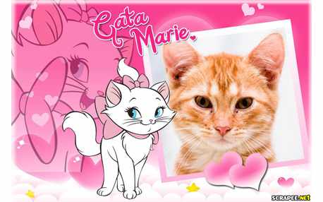 Moldura - Gata Marie