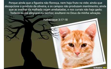 Moldura - Habacuque 3 Verso 17 E 18