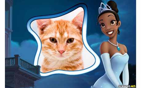 Moldura - Princesa Tiana