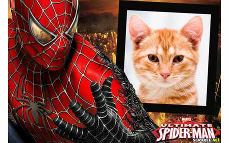 Moldura - Ultimate Spider Man
