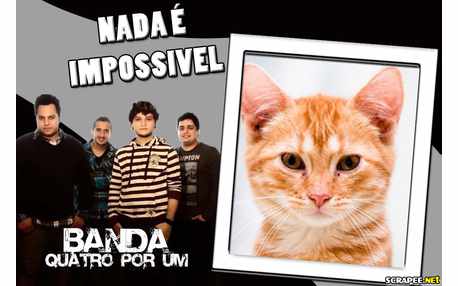 Moldura - Banda Quatro Por Um