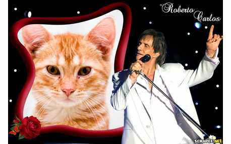 Moldura - Roberto Carlos Cantor